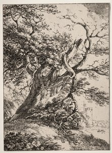 Specimens van Polyautografie: Landschap met een eik, 1803