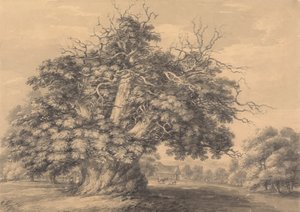 De kastanjeboom bij Little Wymondley, Hertfordshire