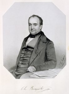 Charles Lucien Jules Laurent Bonaparte, Prins van Canino en Musignano (1803-57) 1850 door Thomas Herbert Maguire