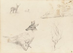 Schetsboek van landschap- en dieronderwerpen, 1860-64