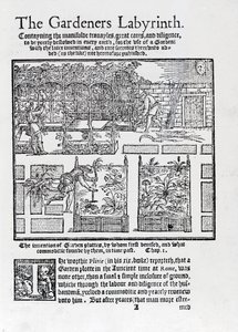 Prieel gebouwd als schaduw tegen de zon en planten in verhoogde bedden, uit The Gardeners Labyrinth, 1577