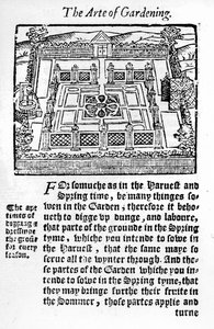 Elizabethaanse tuin uit The profitable arte of gardening, 1568