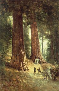 In de Redwoods, 1899