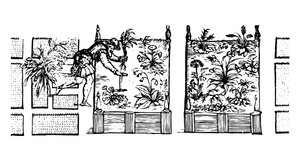 Planten in verhoogde bedden, uit 