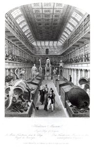 Het Hunterian Museum, illustratie voor 