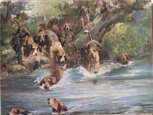In de rivier, illustratie uit 