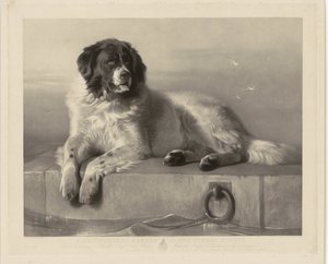 Portret van de reddingshond Bob, liggend op een pier door Thomas Landseer