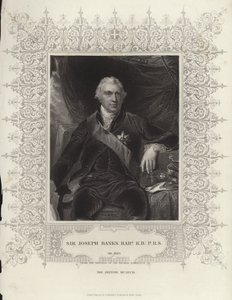 Sir Joseph Banks door Thomas Lawrence