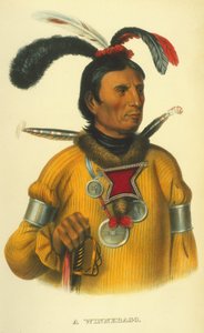 Een Winnebago, 1854