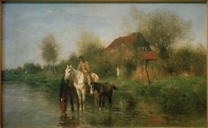 Paarden bij het water