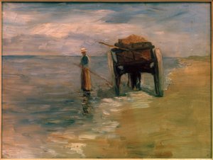 Zeewiervisser door Thomas Ludwig Herbst