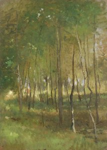 Bos door Thomas Ludwig Herbst