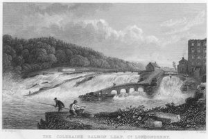 De Coleraine Zalmensprong, County Londonderry (gravure)