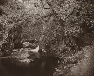 Het Dargle-gat, ca. 1865 door Thomas Marcus Brownrigg