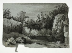 Rocky Pool door Thomas Monro