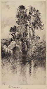 Brug en Bomen