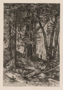 Interieur van een Californisch bos (naar Thomas Moran (Amerikaans door Thomas Moran