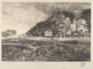 Landschap van Long Island