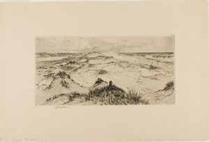 Kijkend over de zandduinen - Easthampton