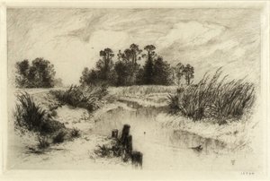 In de buurt van Easthampton, L.I. (Passaic Meadows)