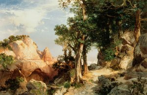 Op het Bessenpad - Grand Canyon van Arizona, 1903 door Thomas Moran