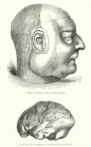 Illustratie voor het leven van Jonathan Swift door Thomas Morten