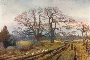  door Thomas Mower Martin
