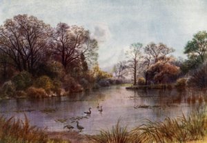 Kew Gardens: Het Meer