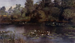 Kew Gardens: De Waterlelievijver (kleur litho) door Thomas Mower Martin