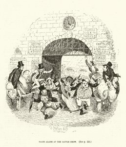 Illustratie voor Valentine Vox (gravure)