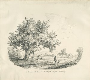 Arley - Shatterfort Hoogte door Thomas Peploe Wood