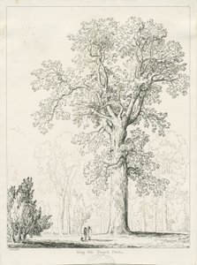 Blithfield - Koning Eik door Thomas Peploe Wood