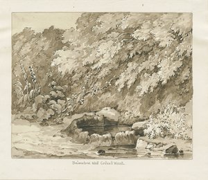 Codsall Wood - Brimstone Well door Thomas Peploe Wood