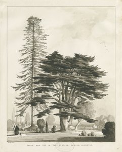 Haughton Pastorie door Thomas Peploe Wood