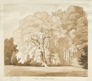 Ingestre - een studie van bomen door Thomas Peploe Wood