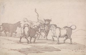 Een groep van vijf stieren die op het punt staan te vechten door Thomas Rowlandson