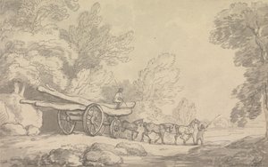 Een houten wagen