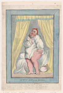 Een Lekker Hapje voor de Insecten door Thomas Rowlandson