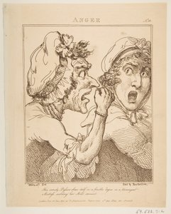 Woede, 21 januari 1800