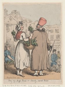 Koop mijn mosrozen, of sierlijke zoete brem door Thomas Rowlandson