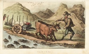 Vaandrig Johnny Newcome, ziek van dysenterie, per ossenkarren naar Salamanca, Spanje gebracht. Handgekleurde kopergravure getekend en geëtst door Thomas Rowlandson uit Colonel David Roberts