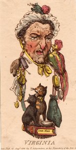Steden: Virginia door Thomas Rowlandson