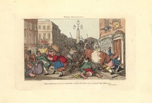 Man vastgepind aan een deur door de hoorns van een woedende os
