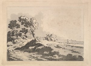Open Landschap met Drie Ruiters in de Verte naar Rechts, Windbloemen, 1784-88