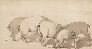 Varkens bij een voederbak door Thomas Rowlandson