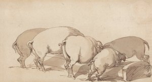 Varkens bij een Voederbak door Thomas Rowlandson