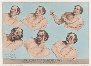 Zes Stadia van het Verminken van een Gezicht, 29 mei 1792