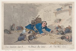 De Afvallige Jack Robinson, De Politieke Rattenvanger door Thomas Rowlandson