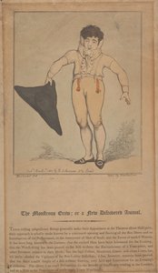 De monsterlijke kruip; of een nieuw ontdekt dier door Thomas Rowlandson