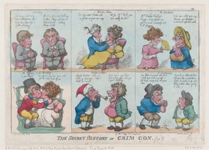 De geheime geschiedenis van Crim Con, Fig 1